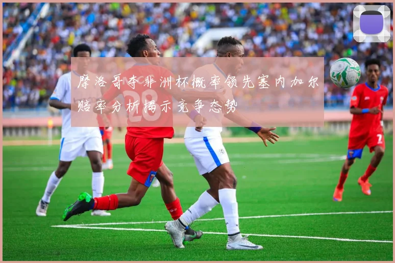 摩洛哥夺非洲杯概率领先塞内加尔赔率分析揭示竞争态势